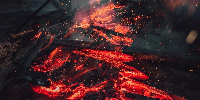 1000x1458 100+ Volcano Pictures | Download Free Images on Unsplash