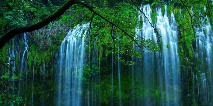 1600x1200 Natural Beauty Beautiful Waterfall Drop Of Water Through The Dense Green  Bush Forming River Tree With Green Leaves Wallpaper For Desktop :  Wallpapers13.com