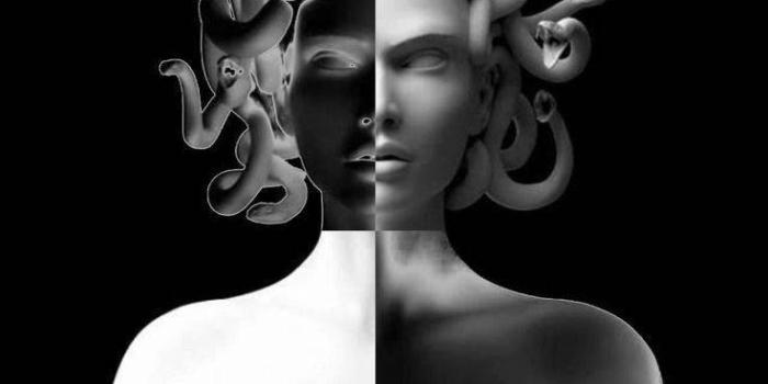 736x1103 Download Greek Aesthetic Medusa Wallpaper | Wallpapers.com