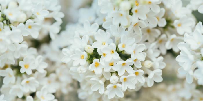 3840x2160 Pin on HD Wallpaper