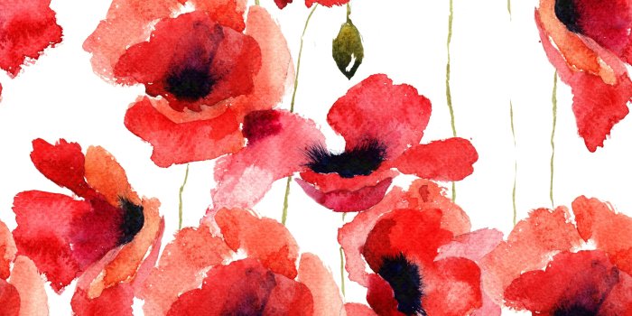 2500x2500 Karisma Red Poppy Seamless Removable Wallpaper - 24undefinedundefined inch  x 10undefinedft - On Sale - - 31809395