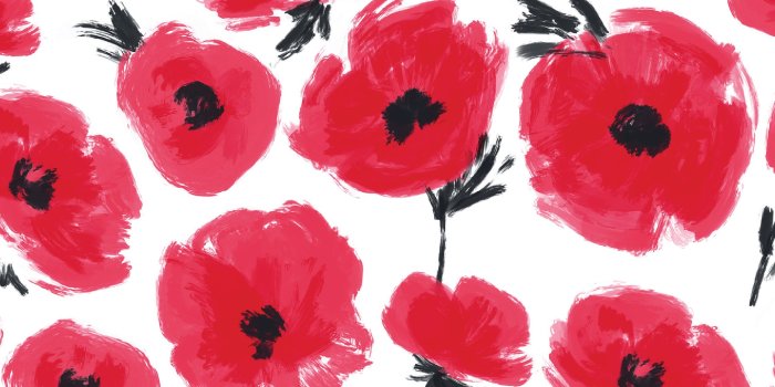 2251x4001 Red Poppies Phone Wallpaper | Floral wallpaper iphone, Poppy wallpaper,  Floral wallpaper