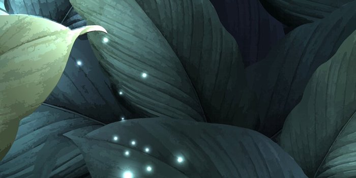 800x1422 Iphone Wallpaper | Free Aesthetic HD & 4K Mobile Phone Images - rawpixel