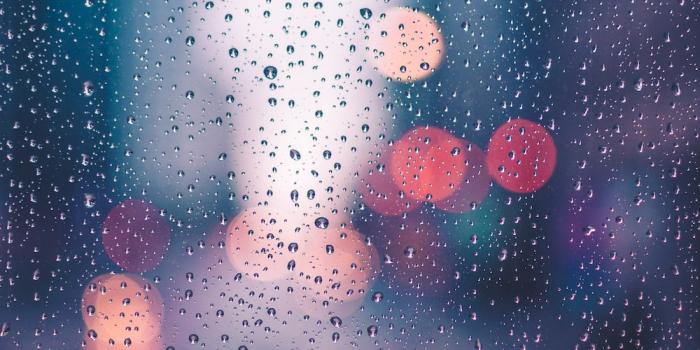 1000x1500 350+ Rain Wallpapers [HD] | Download Free Images & Stock Photos On Unsplash