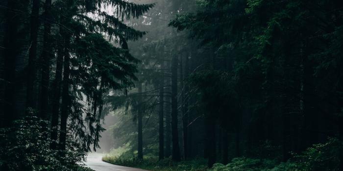 1000x1500 350+ Rain Wallpapers [HD] | Download Free Images & Stock Photos On Unsplash