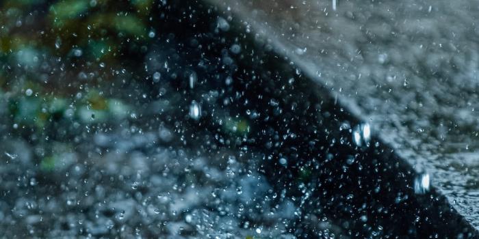 1000x1500 350+ Rain Wallpapers [HD] | Download Free Images & Stock Photos On Unsplash