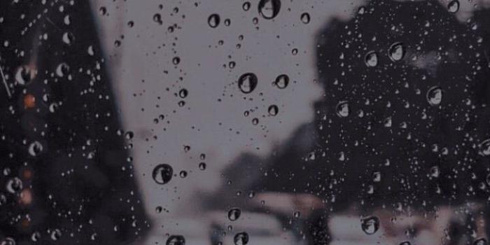 720x1273 Rain wallpaper | Rain wallpapers, Rainy wallpaper, Rainy day aesthetic