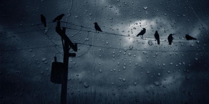 1920x1080 553103 1920x1080 rain wallpaper desktop backgrounds free JPG 255 kB - Rare  Gallery HD Wallpapers