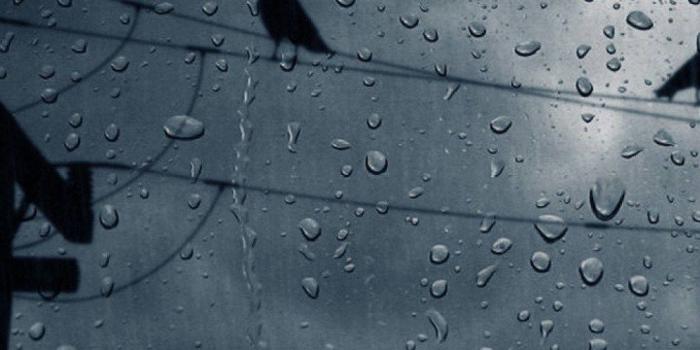 1060x1884 Download Gloomy Yet Beautiful Rain Phone Wallpaper | Wallpapers.com