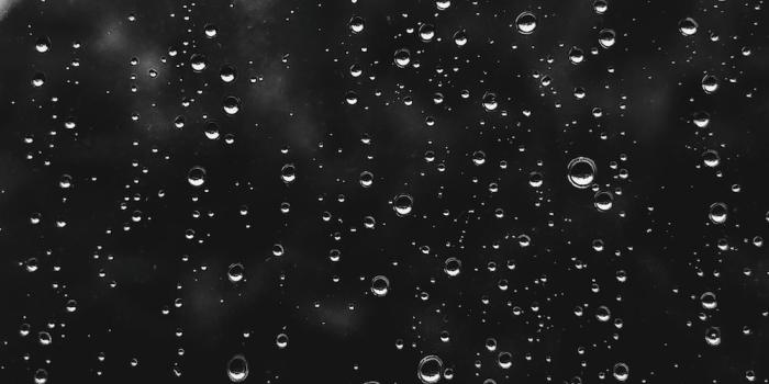 1000x1778 350+ Rain Wallpapers [HD] | Download Free Images & Stock Photos On Unsplash