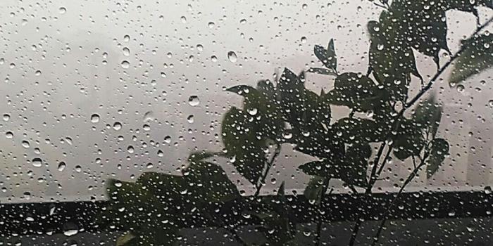 1080x1920 Free download Raining Aesthetic Wallpapers [1080x1920] for your Desktop,  Mobile & Tablet | Explore 43+ Raining Aesthetic Wallpapers | Raining  Wallpaper, Raining Wallpaper Downloads, Animated Raining Wallpaper