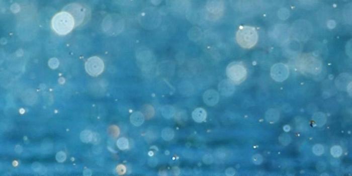 1080x1920 100+] Iphone Rain Wallpapers | Wallpapers.com