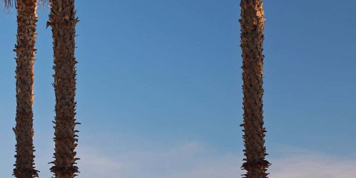 1080x1920 100+] San Diego Iphone Wallpapers | Wallpapers.com