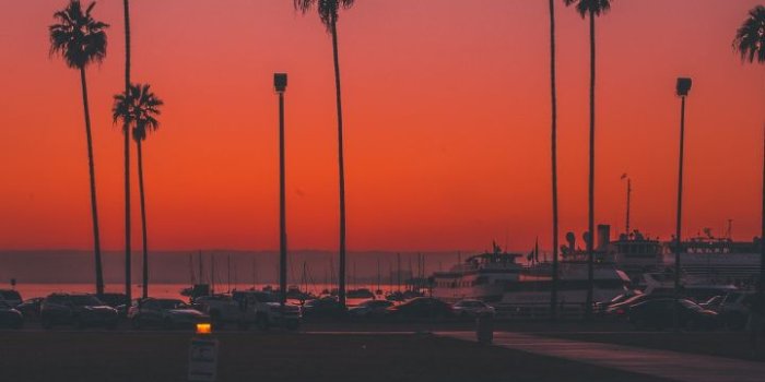 720x1280 Palms, trees, sunset, San Diego, 720x1280 wallpaper | Scenery wallpaper,  Nature photography, Sunset pictures