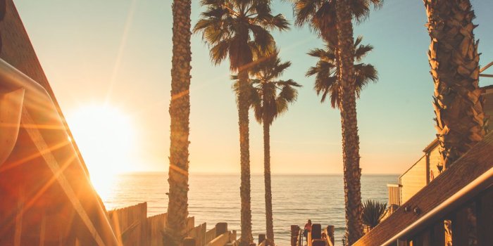 1242x2208 San Diego iPhone Wallpapers