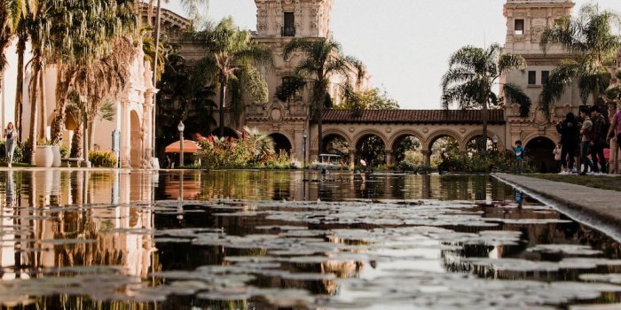 1000x1500 500+ San Diego Pictures | Download Free Images on Unsplash