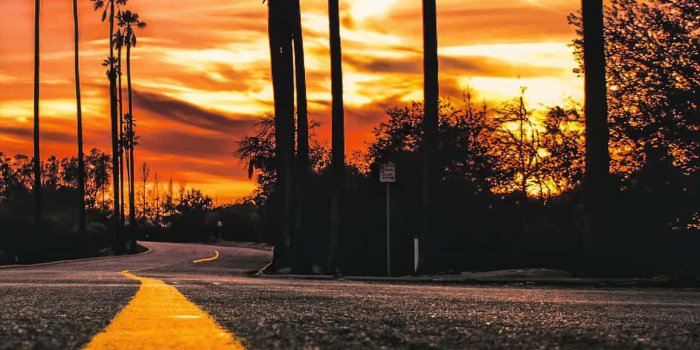 1159x1920 Download Road Ground In San Diego Iphone Wallpaper | Wallpapers.com