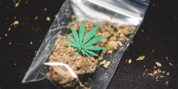 1000x800 Ganja Pictures | Download Free Images on Unsplash