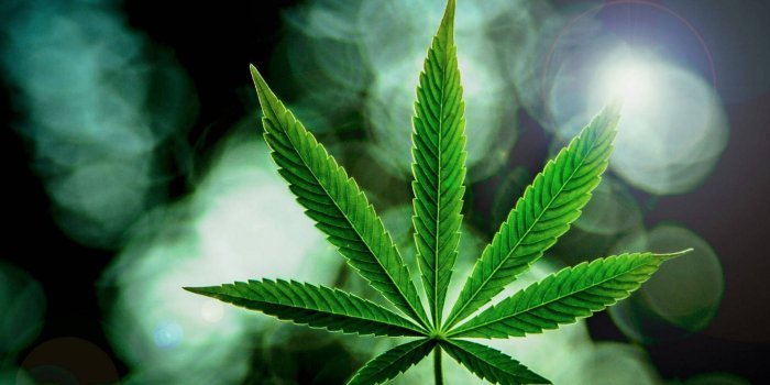 1920x1126 200+] Marijuana Wallpapers | Wallpapers.com