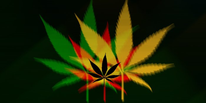 1366x768 47+] Weed Wallpapers - WallpaperSafari