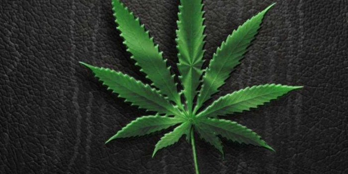 1080x1920 Weed Phone Wallpapers - Top Free Weed Phone Backgrounds - WallpaperAccess