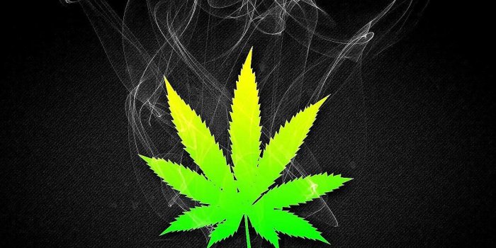 1280x800 44+] Live Weed Wallpapers for Laptop - WallpaperSafari