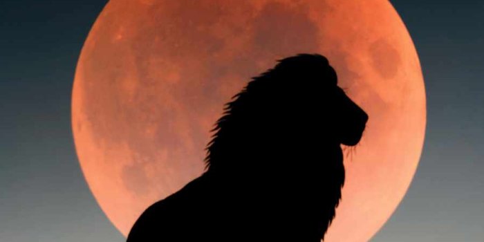 900x1600 Lion King 5K IPhone Wallpaper - IPhone Wallpapers : iPhone Wallpapers