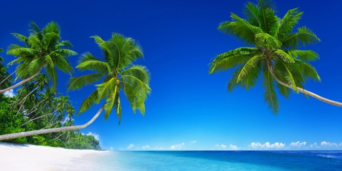 5120x2880 Tropical Beach Paradise 5K Ultra HD Desktop Background Wallpaper for 4K UHD  TV : Tablet : Smartphone