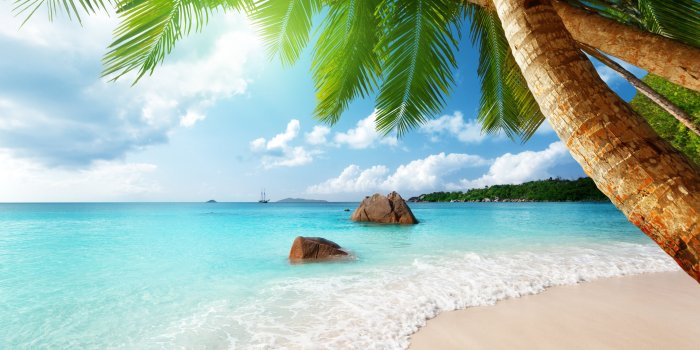 3840x2160 106061 beach, 4k, 5k, palm. ocean - Rare Gallery HD Wallpapers