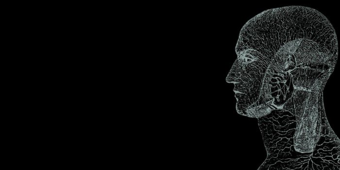 1920x1200 Human Computer Wallpapers - Top Free Human Computer Backgrounds -  WallpaperAccess