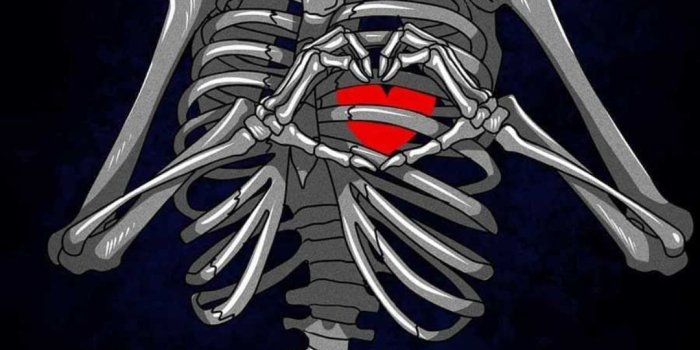 1080x1920 Top 30 Best Skeleton Wallpapers [ HQ ]