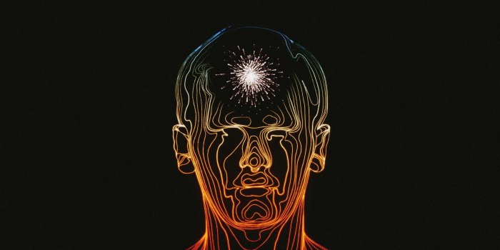 1920x1080 Human Brain HD Wallpapers