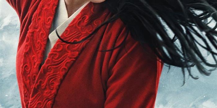 828x1792 Best Mulan iPhone 11 HD Wallpapers - iLikeWallpaper