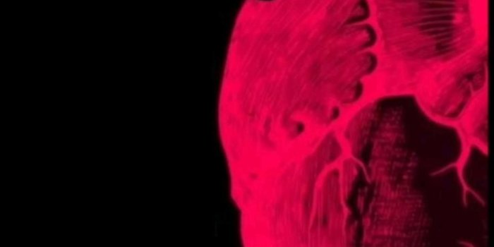 929x1652 human heart wallpaper hello kitty в 2023 г | Стикер-арт, Милые рисунки,  Хиппи обои