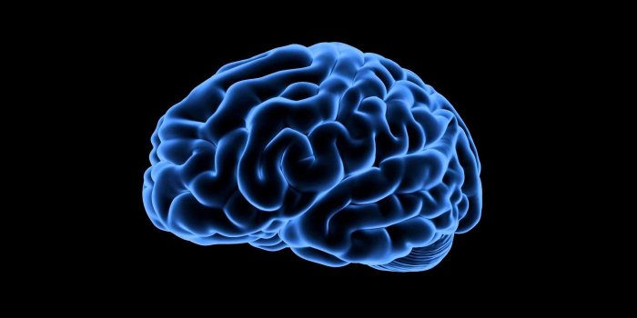 1920x1080 Human Brain Wallpapers - Top Free Human Brain Backgrounds - WallpaperAccess