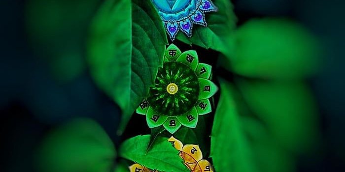 700x1400 Chakras (1080x2160) - Wallpaper | Zen wallpaper, Attractive wallpapers,  Wallpaper nature flowers