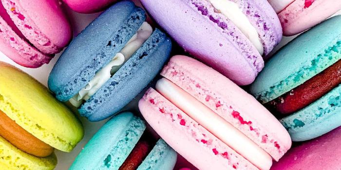 1500x1500 100+] Macaron Wallpapers | Wallpapers.com