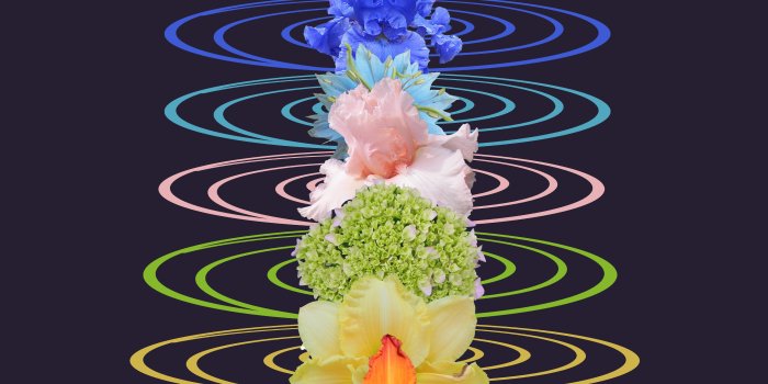 7200x7200 Wallpaper ID: 601043 / nature, close-up, black background, rainbow, blue,  new age, crown, art and craft, purple, meditation, beauty in nature,  symbol, flower, yoga, 5K, colors free download