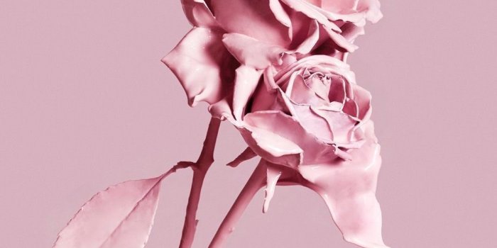 1061x1500 1061x1500 Sweet Pink Wallpaper Group Pictures(38+) | Rose wallpaper, Pastel  aesthetic, Pink wallpaper