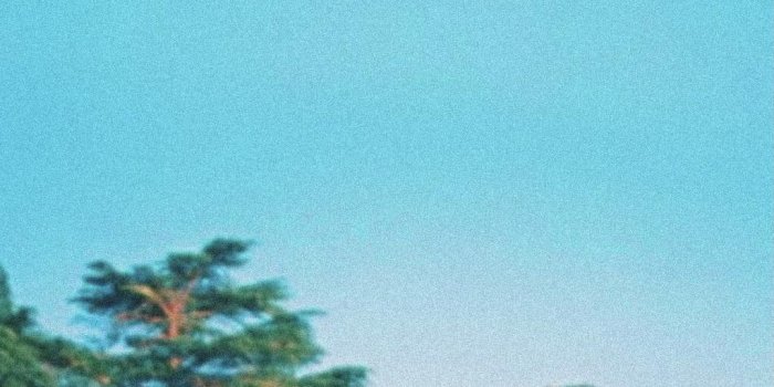 1023x2227 here are some asap rocky wallpapers fam : r/asaprocky