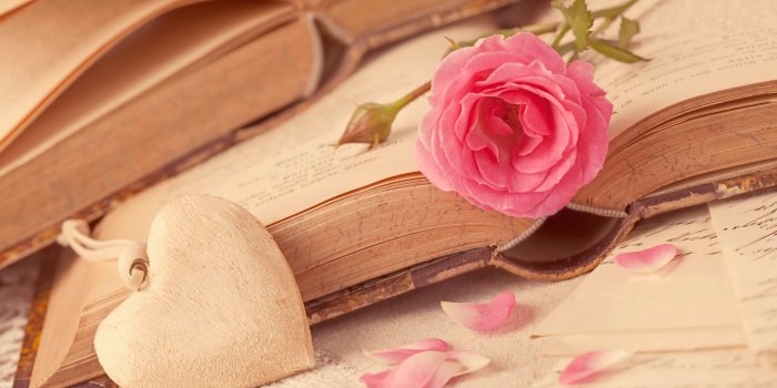 5616x3744 130513 Pink rose, 5K, Love heart - Rare Gallery HD Wallpapers