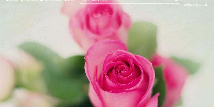 1280x800 Pink Roses Wallpaper HD New Tab Theme – Get this Extension for Firefox (af)