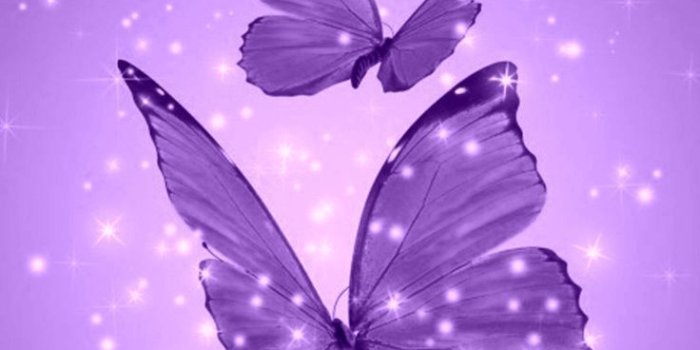 736x1226 Pin on WallPaper