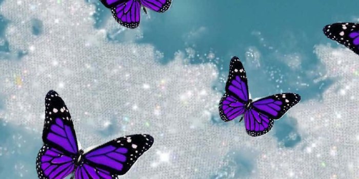 1001x1752 Download A Beautiful Purple Butterfly Wallpaper | Wallpapers.com