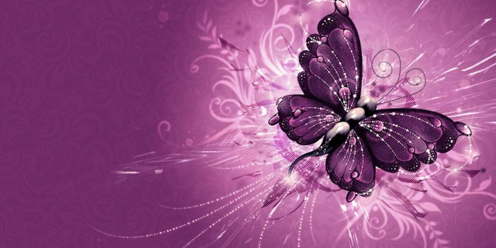 2592x1620 Purple Butterfly Wallpapers (57+ pictures)