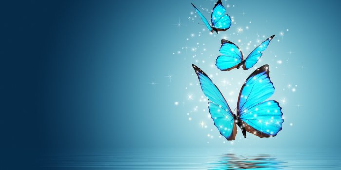 2560x1600 1766 cool purple butterfly wallpapers mac - Rare Gallery HD Wallpapers