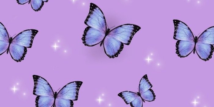 720x1280 Butterfly Wallpaper | Papel de parede borboletas, Papel de parede roxo,  Imagem de fundo para iphone