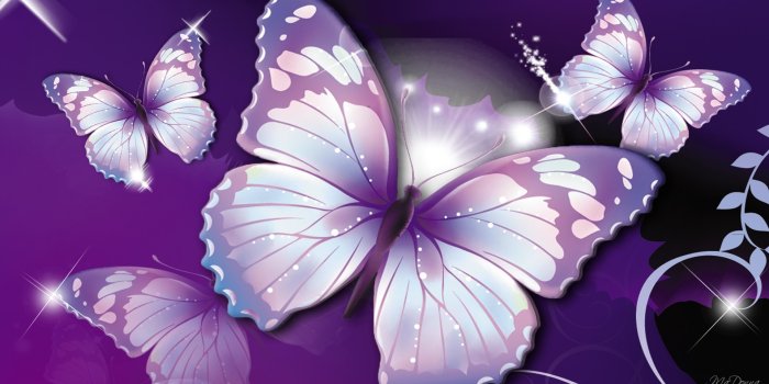 1920x1080 Purple Butterfly Wallpaper (77+ images)