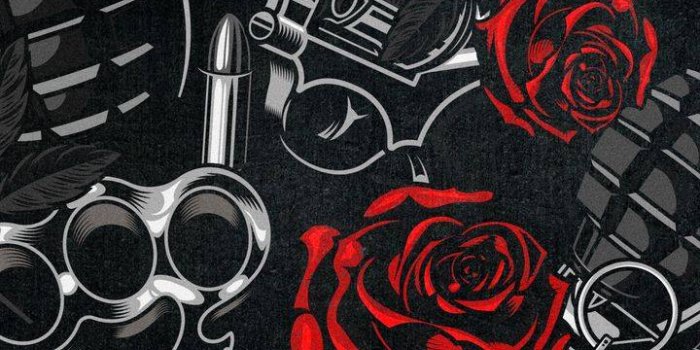 720x1280 Guns And Roses IPhone Wallpaper - IPhone Wallpapers : iPhone Wallpapers