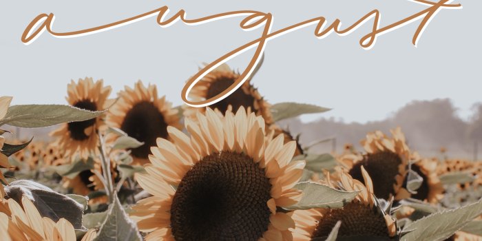 2560x1610 Free, Downloadable Tech Backgrounds for August 2020 | The Everygirl